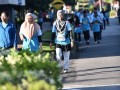 Tn dsc 6319